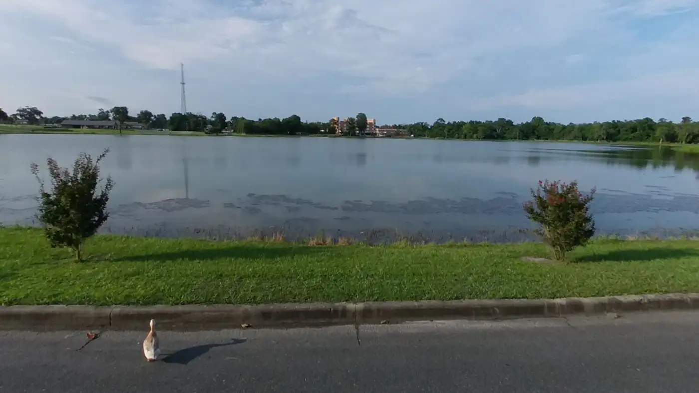 Lake Desoto shore in Lake City, FL